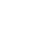 GEICO Insurance